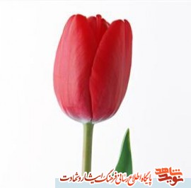 «شهید مسلم حاج محمدی» «شهید مسلم حاج محمدی»