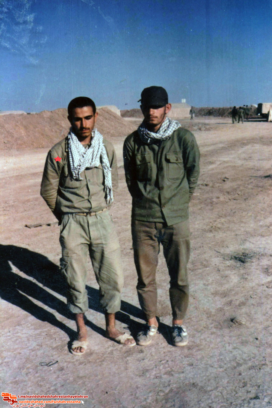 شهید محمود باقری