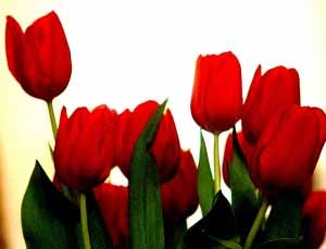 نگاهی به زندگی شهید علی اصغر منتظری