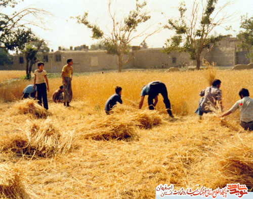 زندگینامه و وصیتنامه شهید والا مقام مهدی نجفی از کاشان زندگینامه و وصیتنامه شهید والا مقام مهدی نجفی از کاشان