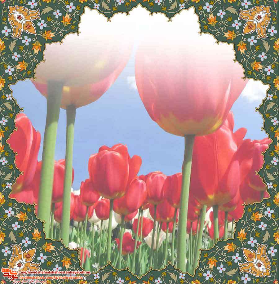 شهید محسن سلیمانی