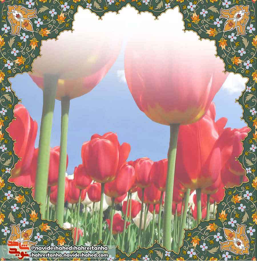 شهید عباس بیات شهید عباس بیات