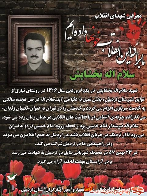 معرفی شهدای انقلاب استان در استان اردبیل