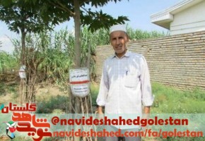 تقدیر مدیرکل بنیاد گلستان از غرس ۴ هزار درخت به نام شهدای گلستان تقدیر مدیرکل بنیاد گلستان از غرس ۴ هزار درخت به نام شهدای گلستان