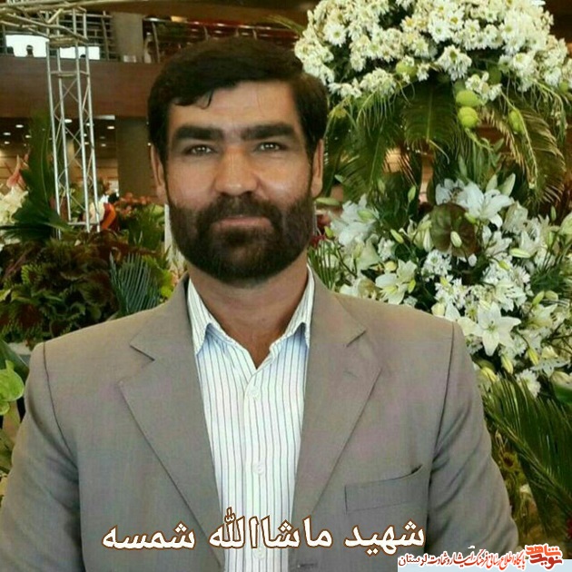 آلبوم تصاویر شهید مدافع حرم، ماشالا شمسه منتشر شد
