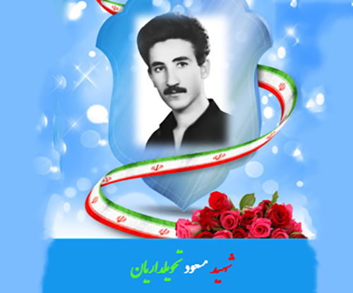 مادر شهید والامقام 