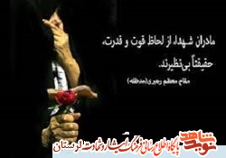 تکریم مادران شهدا و بانوان موفق لرستانی در طرح «شکوه مادری»