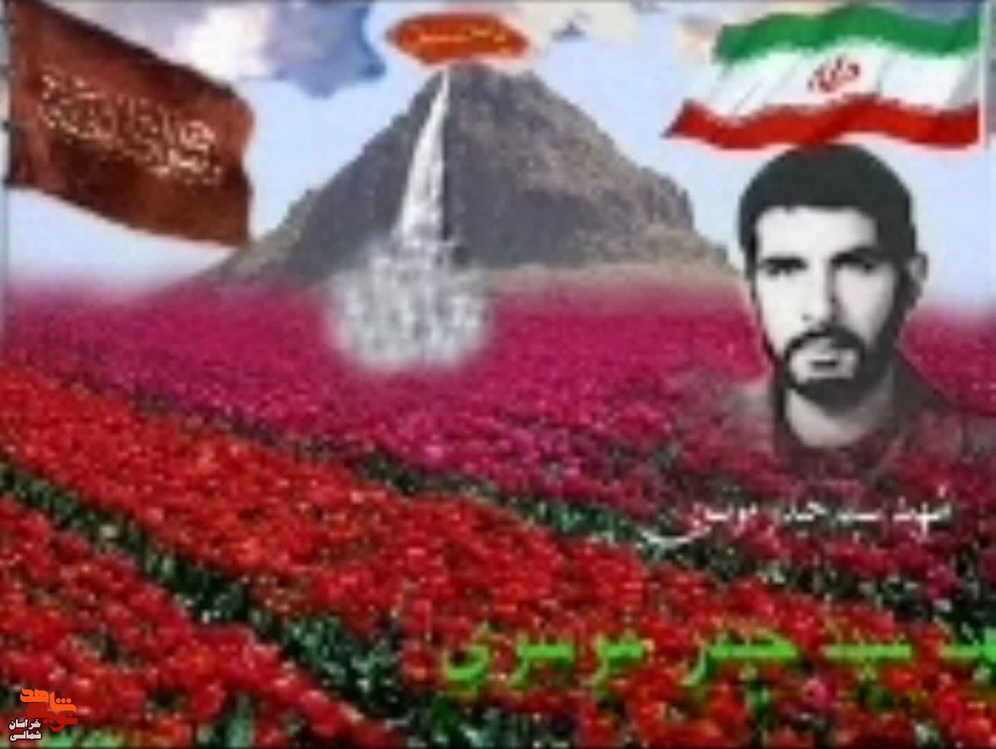 کلیپ/ مروری بر زندگینامه شهید« سید حیدر موسوی»