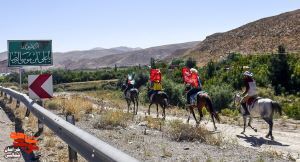 گزارش تصویری/حرکت کاروان اسب‌سواران خراسا‌ن‌شمالی به سوی حرم رضوی