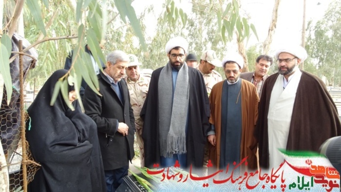 میهمانی لاله ها در گلزار شهدای صالح آباد
