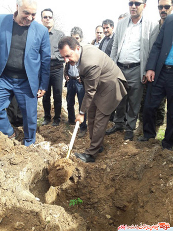 مراسم کاشت نهال گل محمدی  به یاد شهیدان در آستانه روز شهید