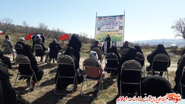 کاشت نهال به مناسبت گرامیداشت لشکر فرشتگان تاریخ ساز