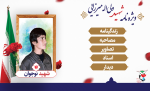ویژه نامه نوجوان شهید «ولی اله میرزایی»