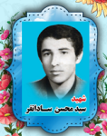 شهید سید محسن سادات فر